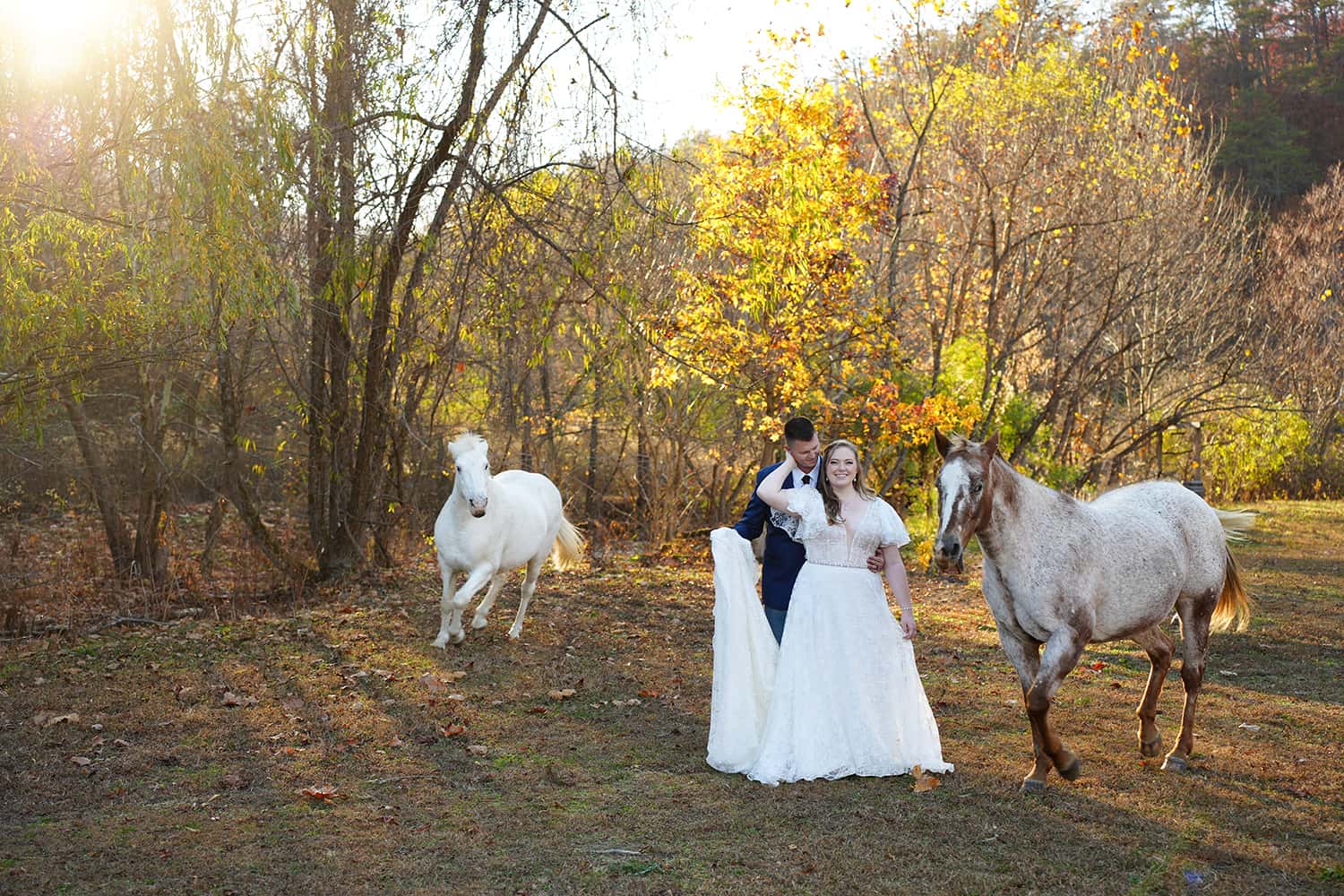 NovemberMackenzie-horses-pigeon-forge-wedding-22