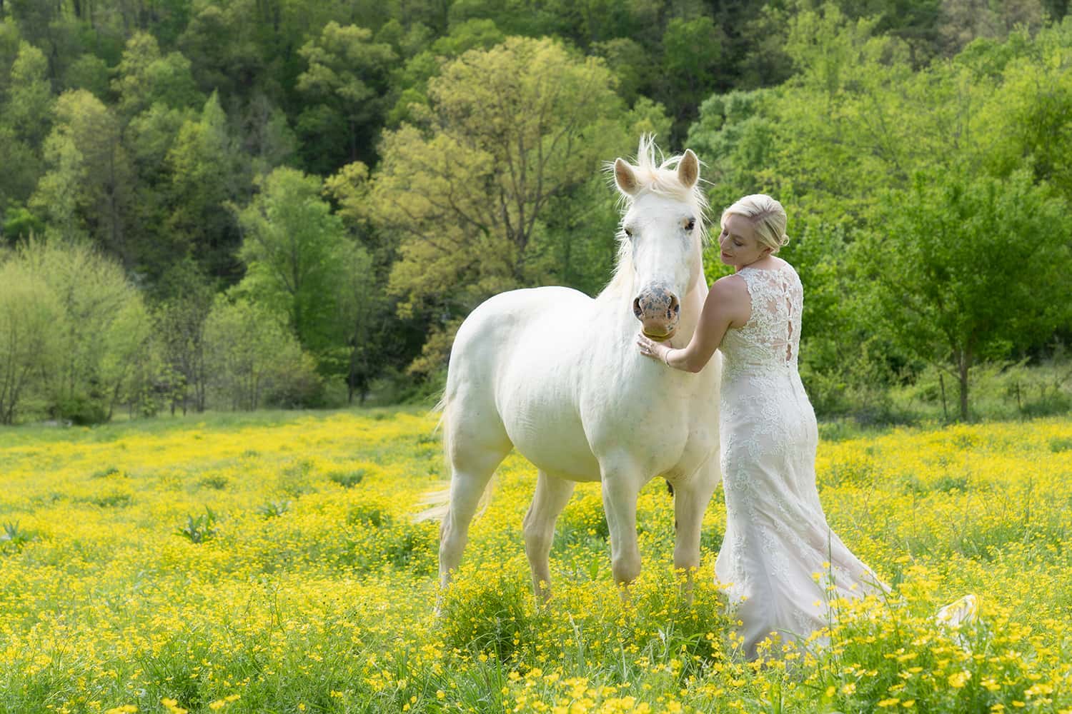 White-appalloosa-horse-bride-field-buttercups-Honeysuckle-Hills-22