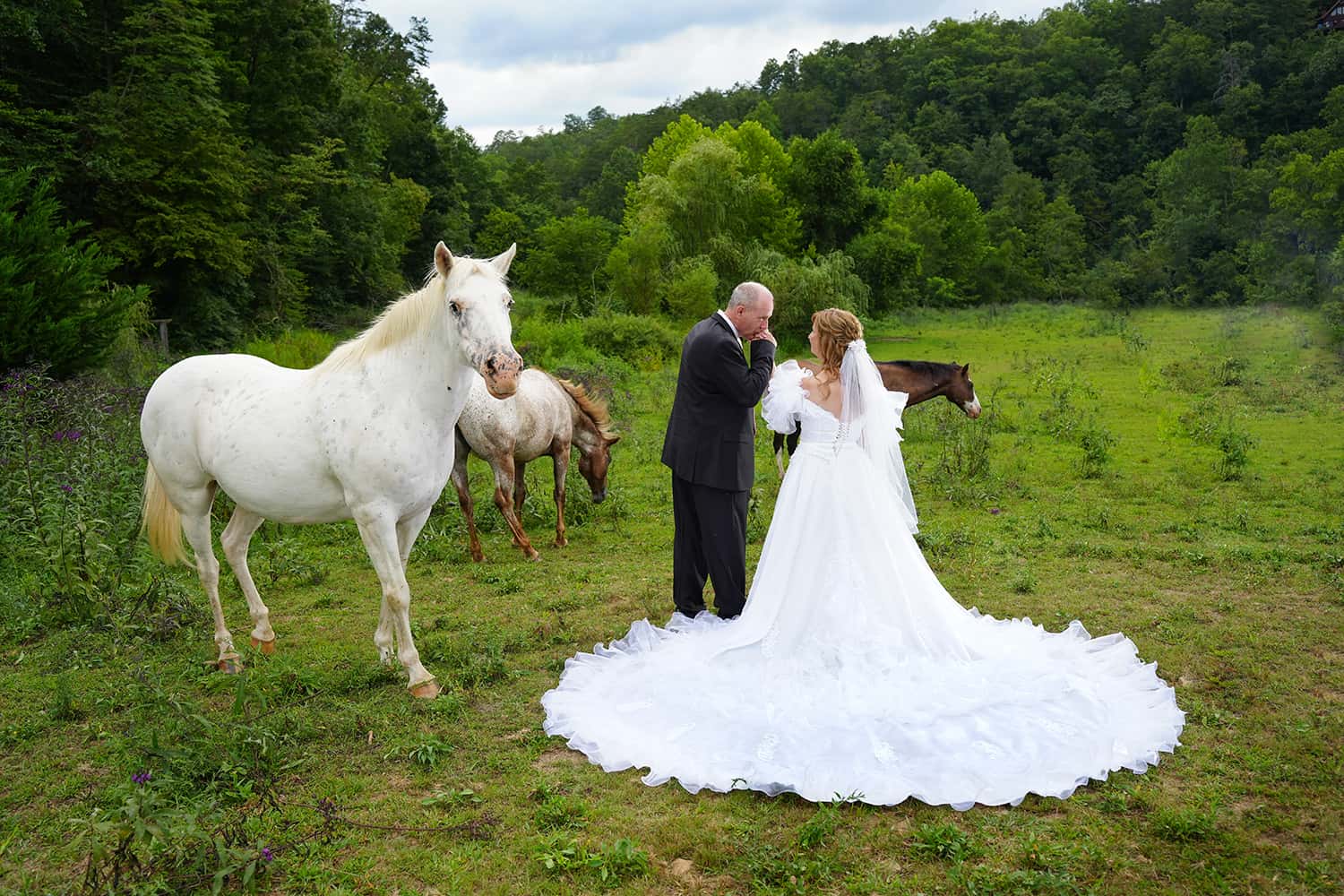 horses-wedding-day-photography-22
