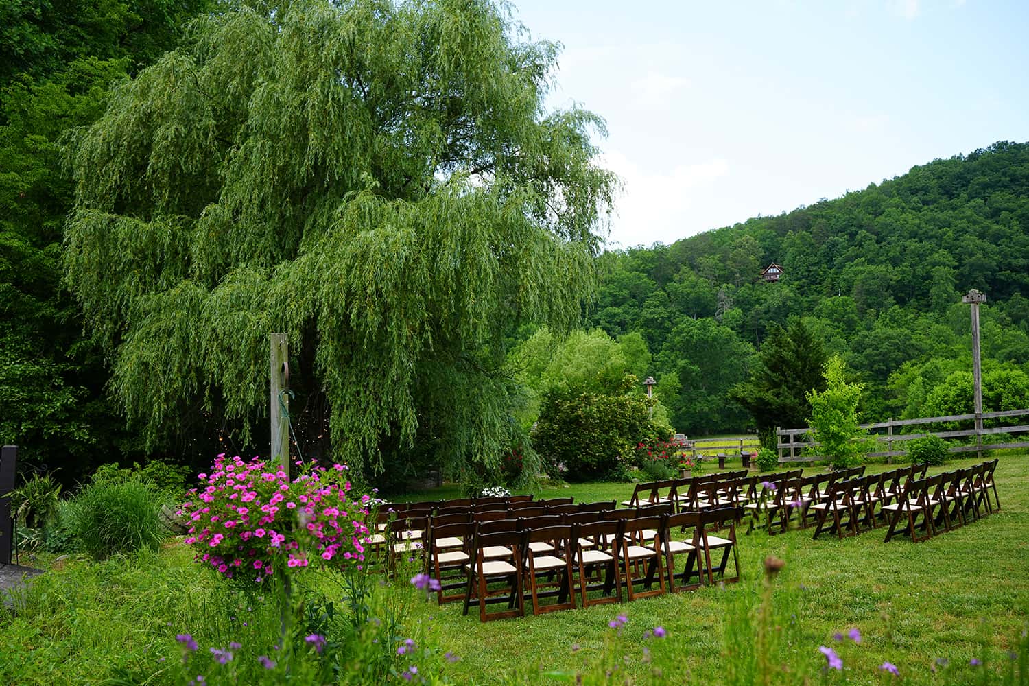 summer-wedding-willow-tree-ceremony-22