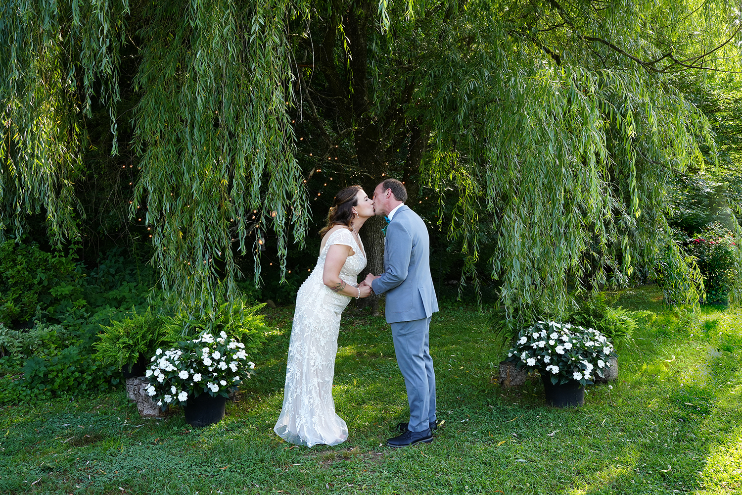 Wedding couple kissing beneath a willow tree in the mountains of Tennessee