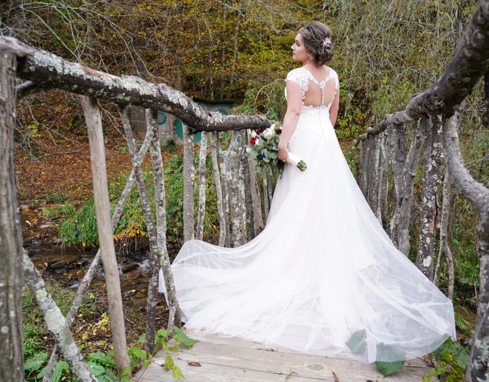 Bride posing on the tree limb hobbit bridge at Honeysuckle Hills in Pigeon Forge TN