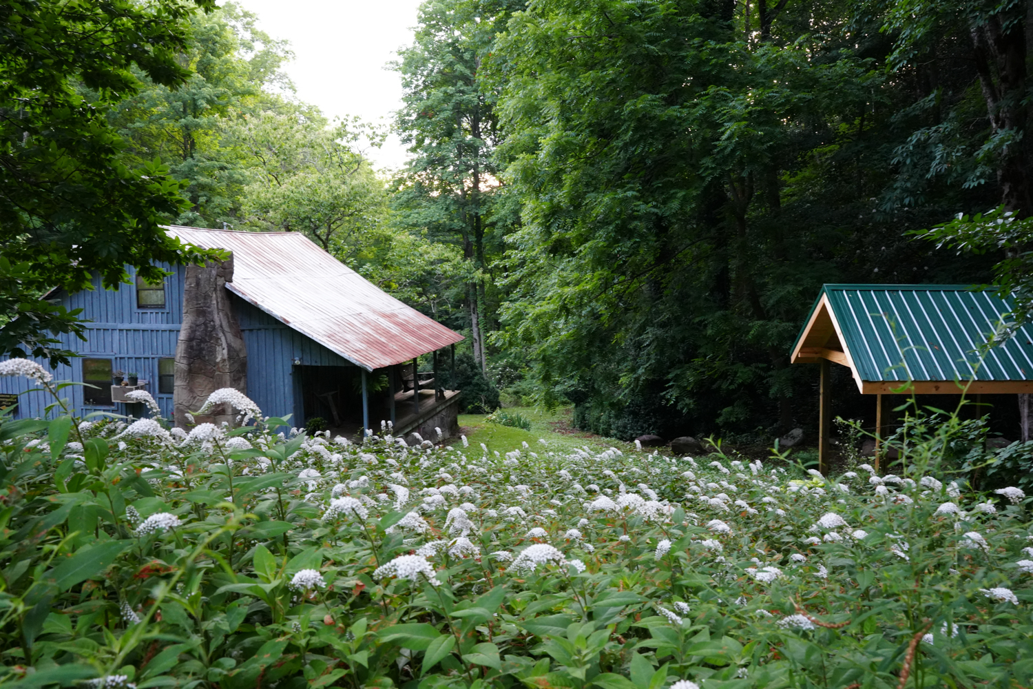 Appalachian style home behind white gooseneck flowers and a pavilion with a green roof