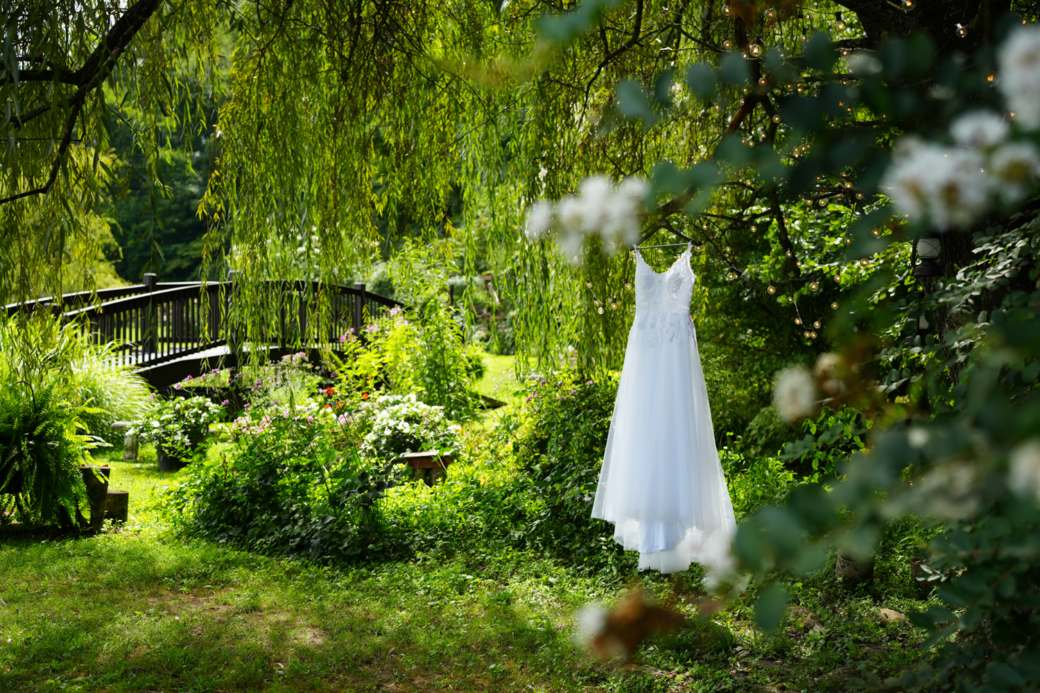 White wedding dress hanging in a willow tree
