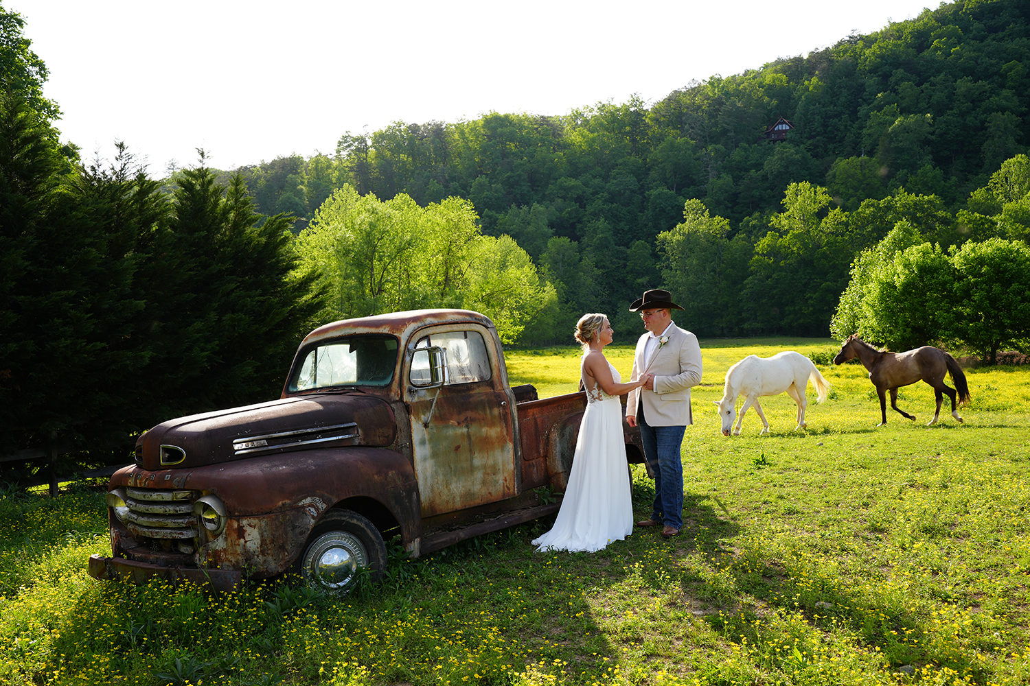 Western wedding couple holding hands by a vintage 1950 Ford truck sitting in a horse field with a white and brown horse behind them