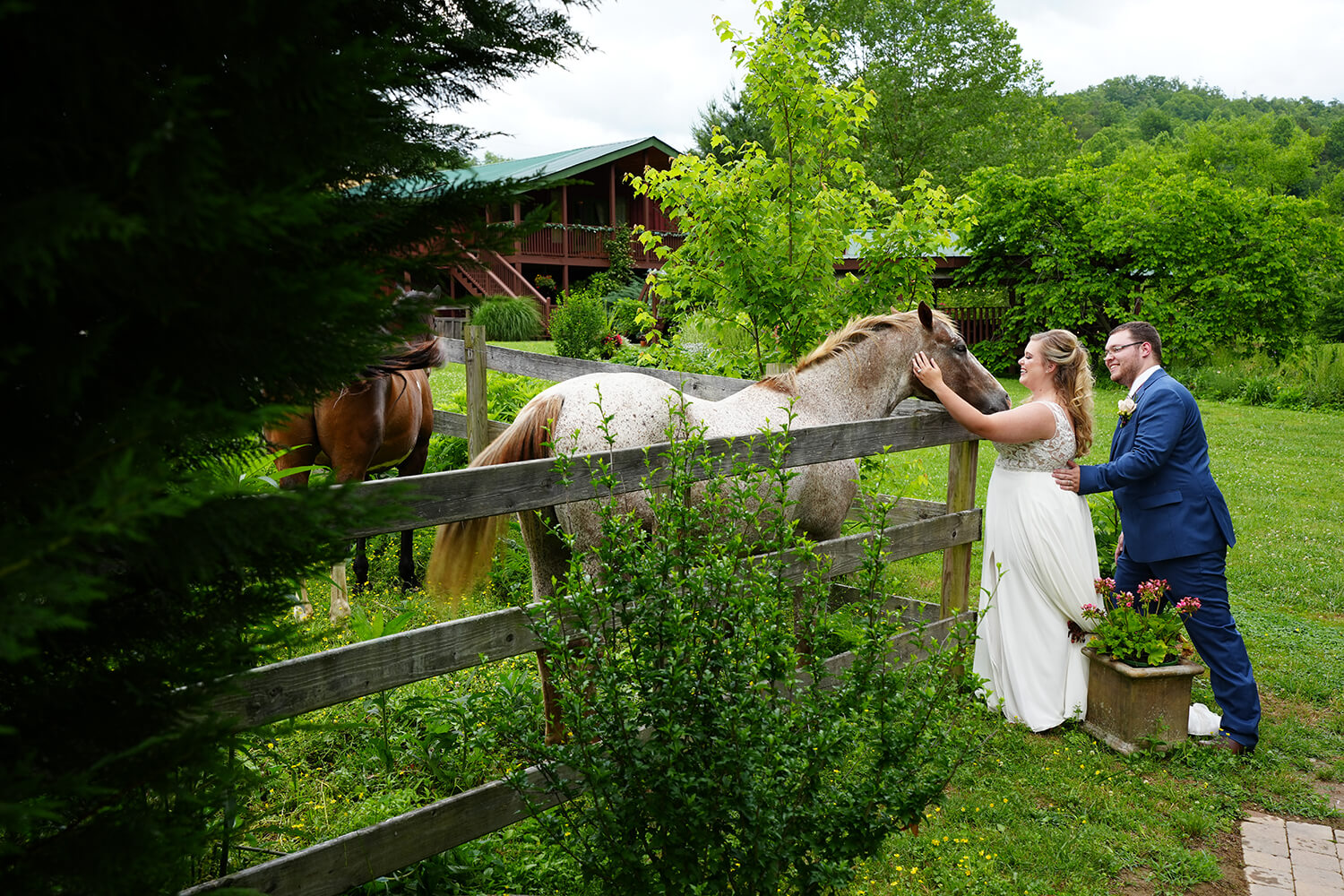 Wedding couple petting the horses at Honeysuckle Hills across a wooden fence