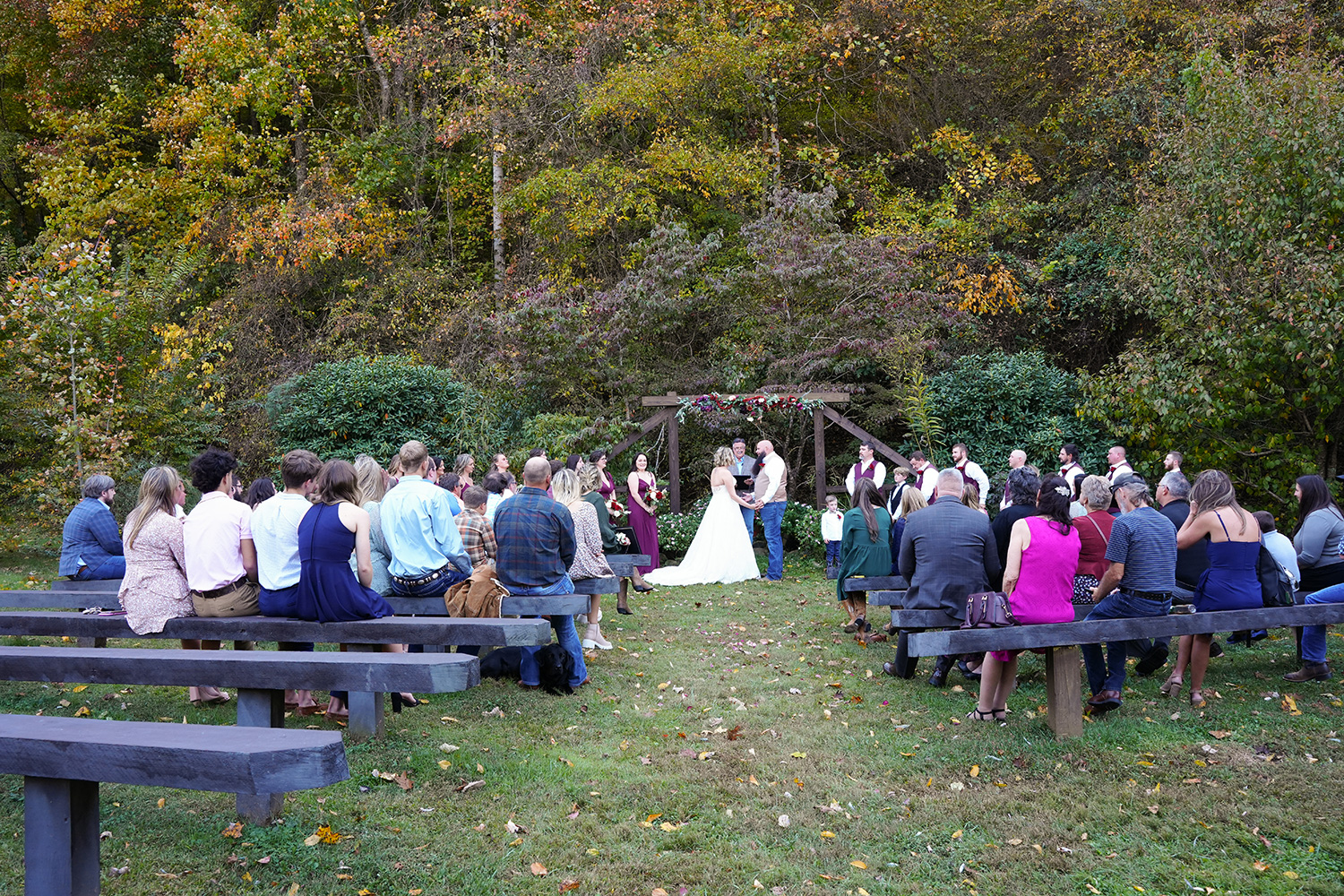 wedding ceremony in late November with guests at log benches and golden fall leaves