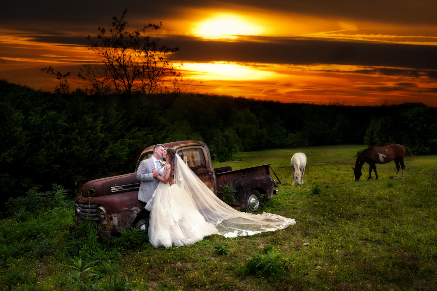 Bride with long veil kissing her husband by an old 1950 Ford truck at sunset in a field with two horses at Honeysuckle Hills in Pigeon Forge