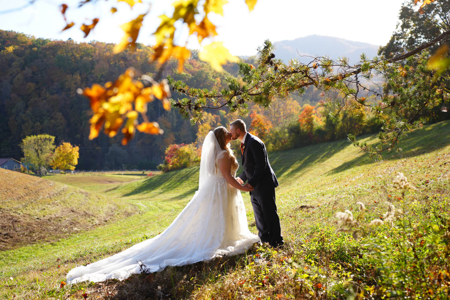Bride and groom kissing in a field with a mountain view with a tree above them with golden fall leaves at Honeysuckle Hills in Pigeon Forge
