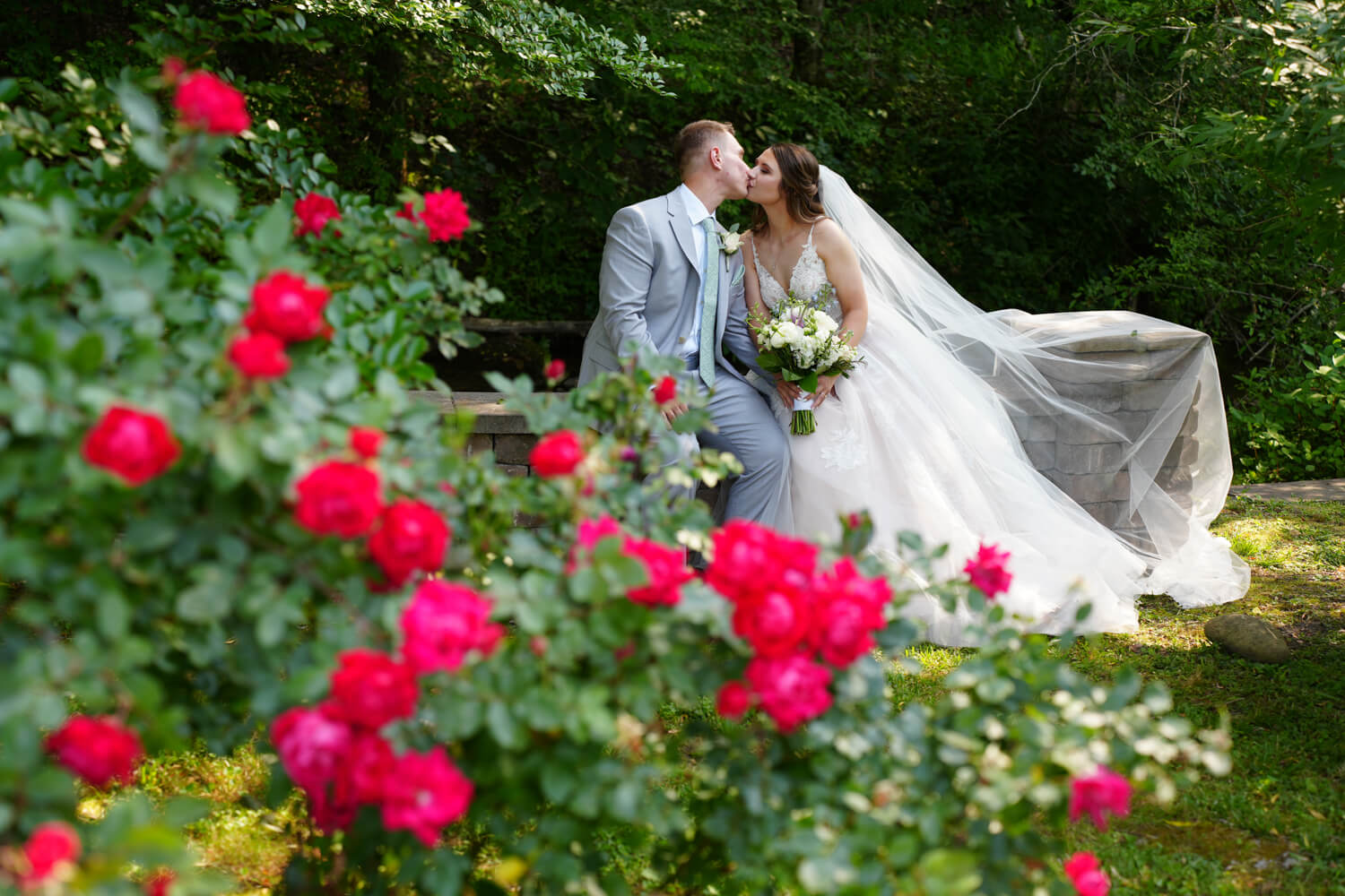 Wedding couple kissing in a red rose garden sitting on a rock wall