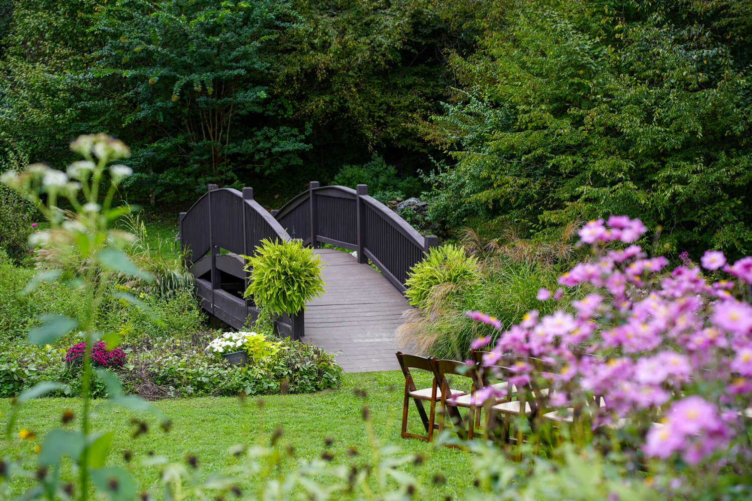 Arched bridge leading to dark wooden folding chairs and pink wind flowers at a ceremony location