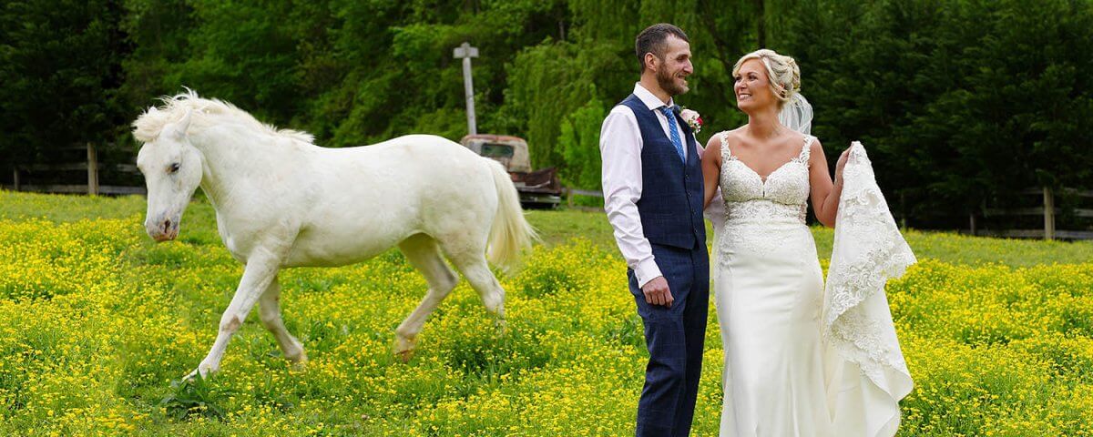 April Wedding with Horse in Pigeon Forge TN