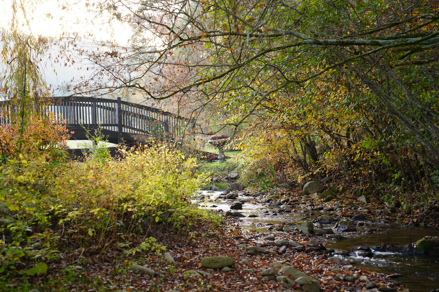 Arched bridge by a Tennessee creek in the fall with golden leaves at the Honeysuckle Hills wedding venue in Pigeon Forge