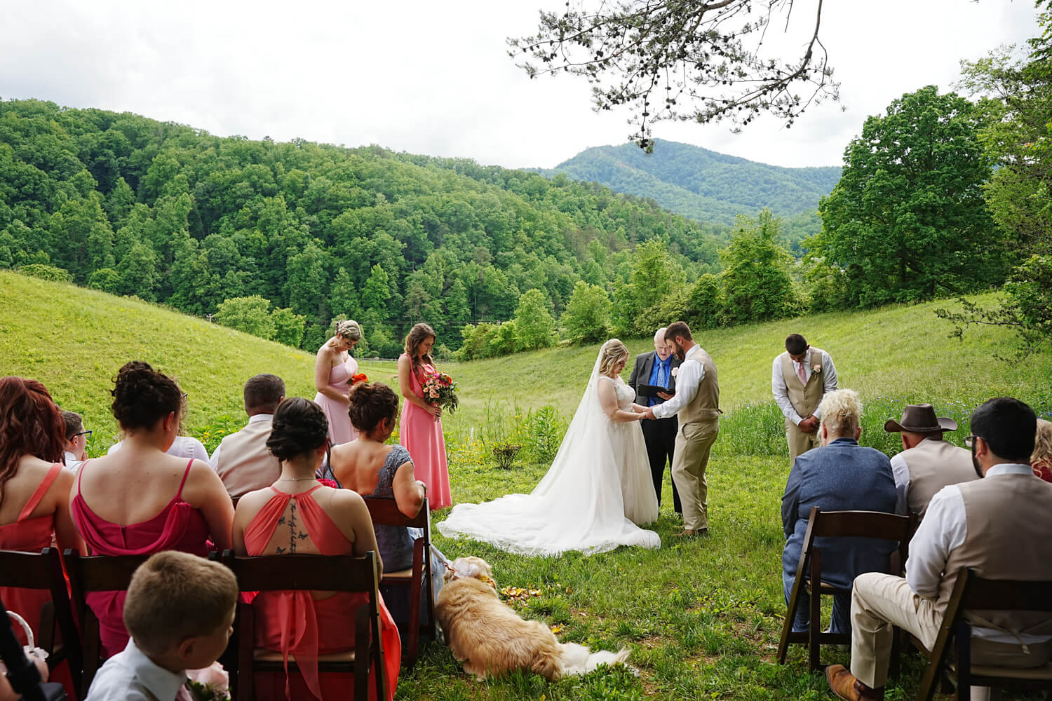 Wedding ceremony with guests in the spring at a mountain view in a meadow