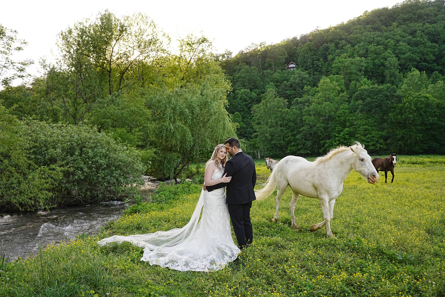 bride leaning into her groom in a field of yellow buttercups as a white appaloosa horse walks past