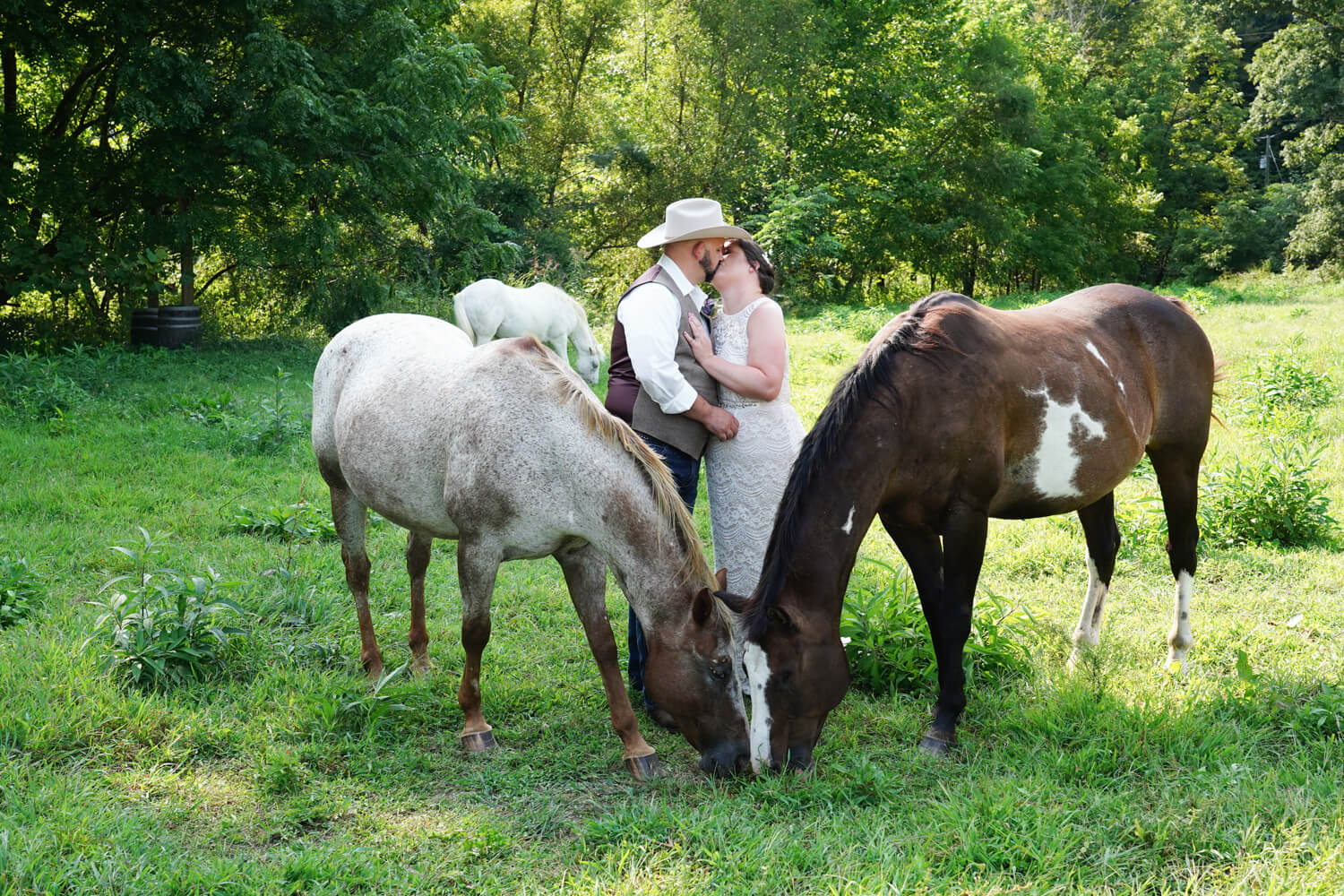Bride and groom with a cowboy hat kissing in between two horses in a field in the summer in East Tennessee