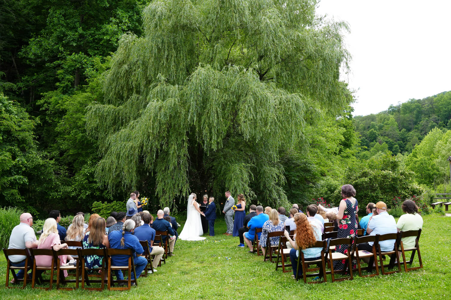 Willow tree ceremony with guests seated in dark wooden chairs in the summer in the Smoky Mountains
