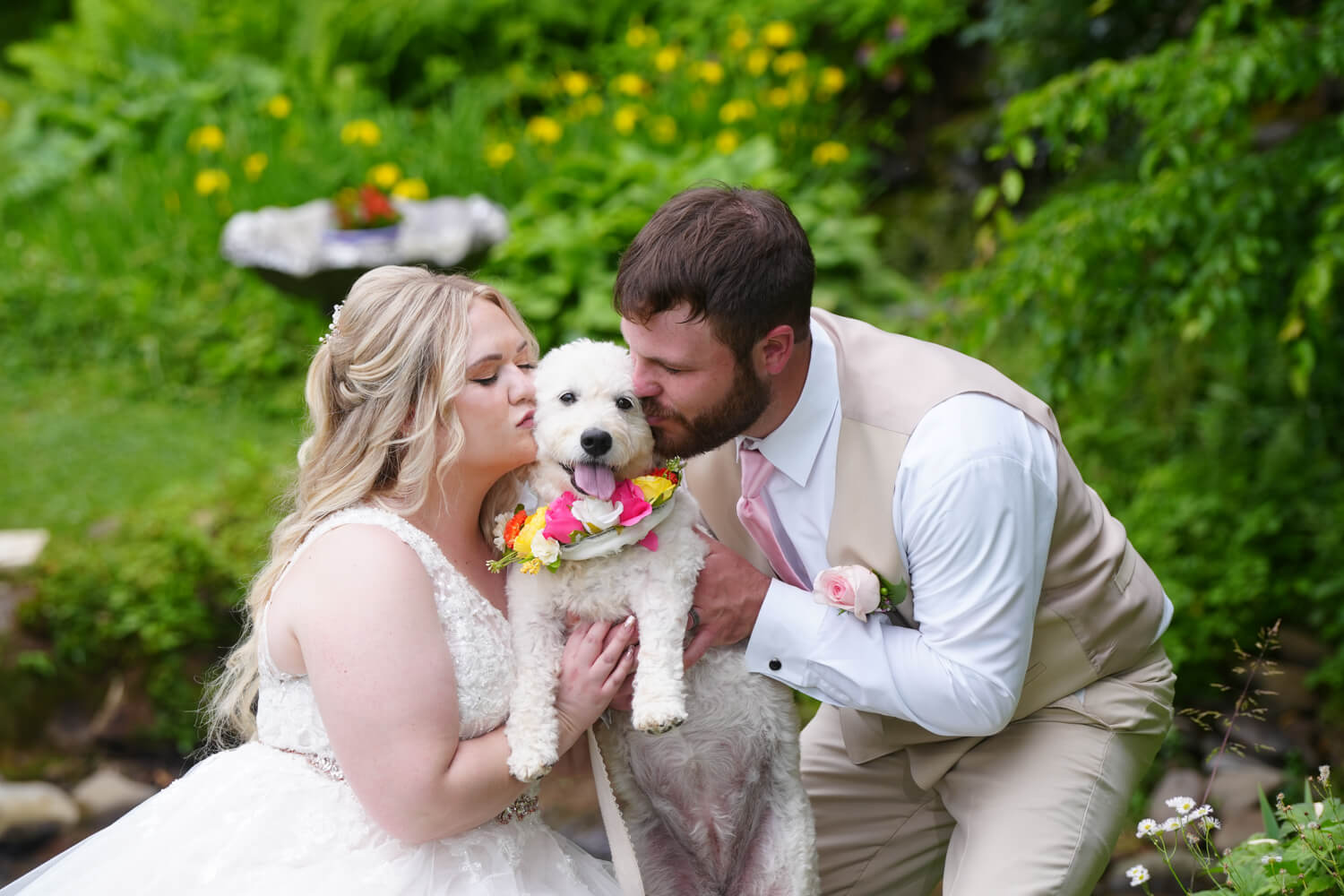 Wedding couple kissing their white dog on their wedding day in spring gardens at pet friendly Honeysuckle HIlls