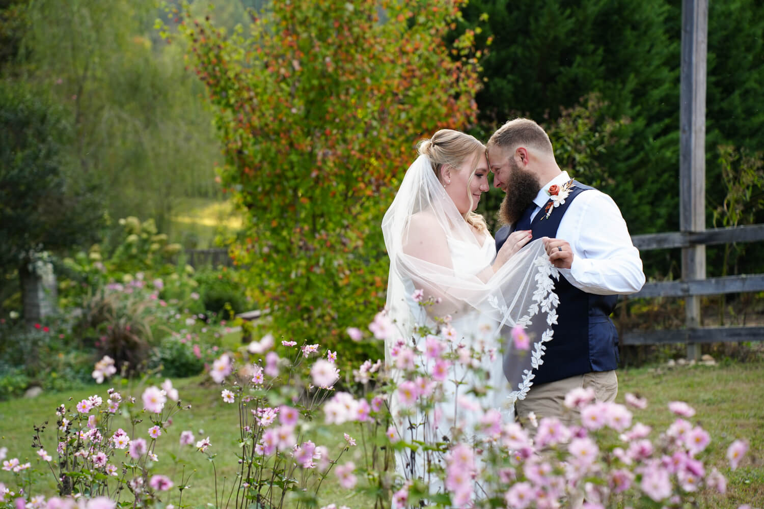 Groom holding his bride's veil in a pink flower garden with a maple tree turning gold for fall in the background