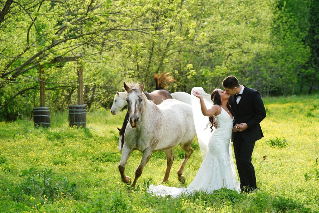 Elopement Photos with horses