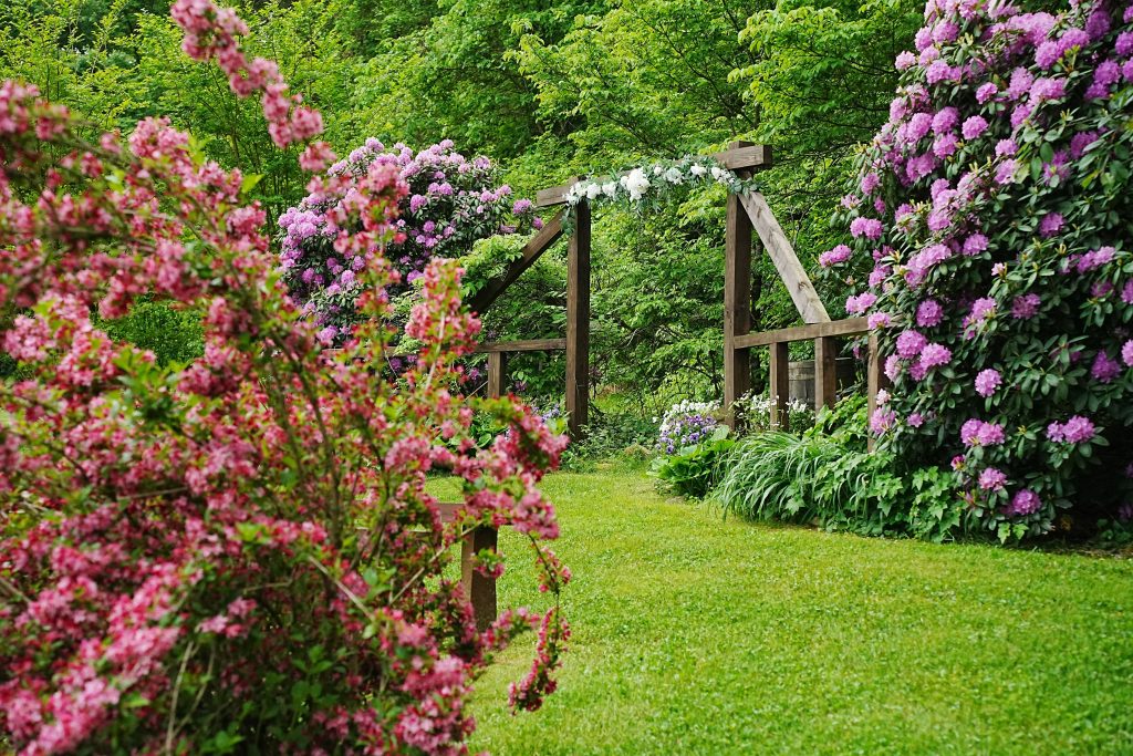 Get Married in the Smoky Mountains