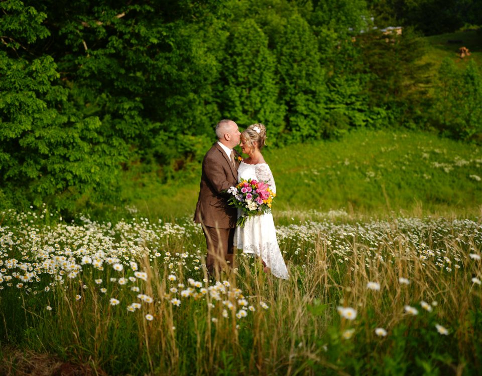 Groom kissing his bride's forehead in a field of daisies at the mountain adventure site at Honeysuckle Hills in Pigeon Forge