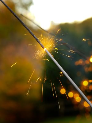 Sparklers-1001 Wedding sparkler burning brightly